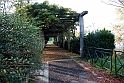 Parco Europa Autunno_044